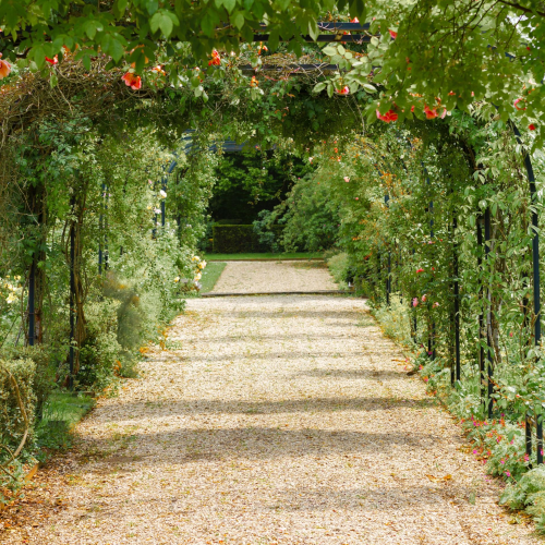 Picture of landscaped pathway.